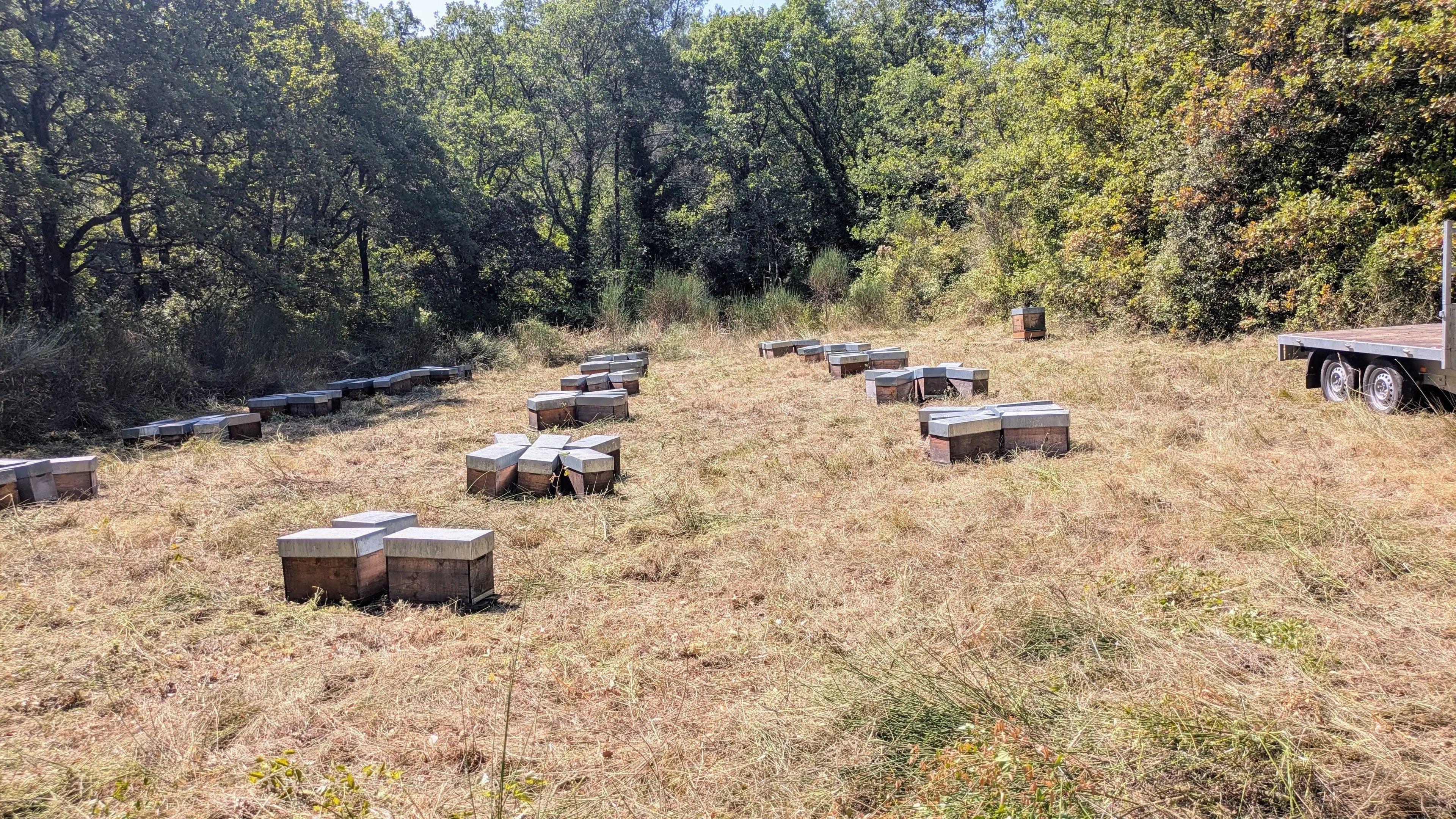 Travaux-au-rucher-en-novembre-préparer-l-hivernage-des-abeilles. Les Ruchers de Potter