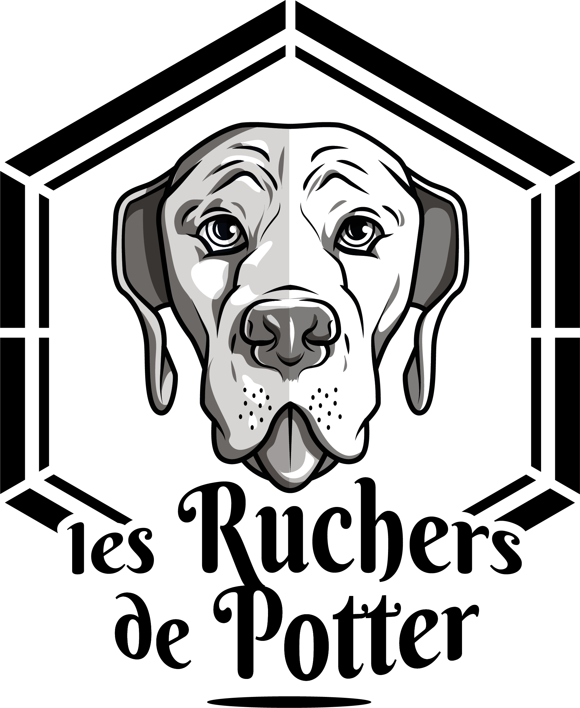 Miel de Châtaignier - Les Ruchers de Potter